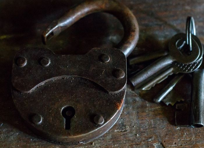 장기 매매 꿈 해몽