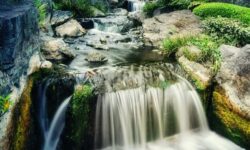 물이 흐르는 꿈