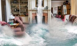 집에 물이 차는 꿈