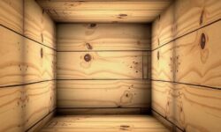 관에서 살아나는 꿈