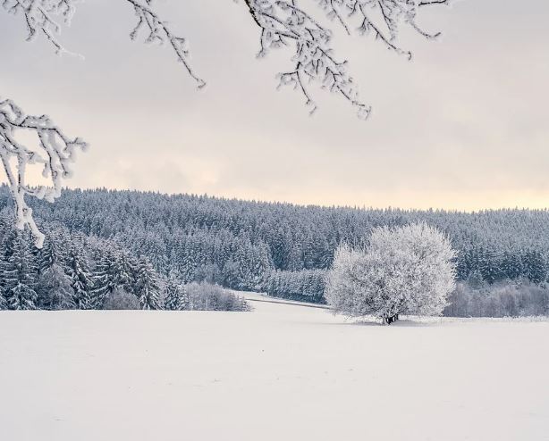 눈 위를 걷는 꿈