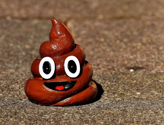 요강에 똥 싸는 꿈