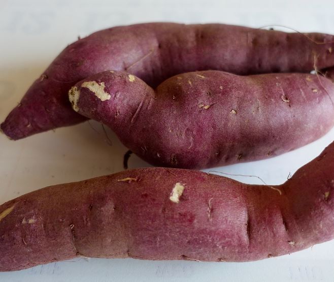 고구마 먹는 꿈