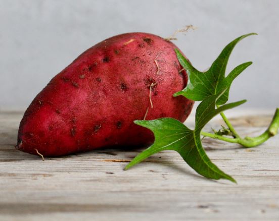 고구마 심는 꿈