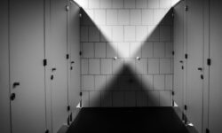 재래식 화장실 꿈