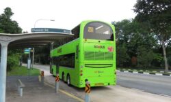 버스 놓치는 꿈