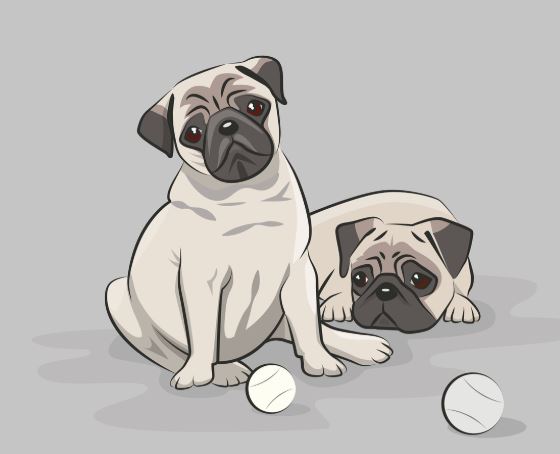 개한테 물리는 꿈