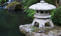 연못 꿈의 상징적인 해석과 상황 별 해몽(태몽, 재물, 건강운) 연못 꿈의 상징적인 해석과 상황 별 해몽