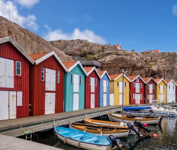 집을 못 찾는 꿈