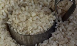 쌀 씻는 꿈의 상징적인 해석