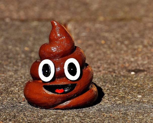 개 똥 꿈 해몽의 의미