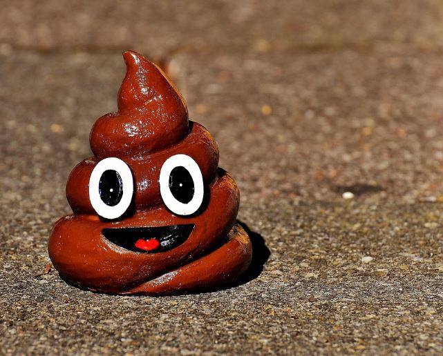 비둘기 똥 꿈 해몽의 의미