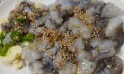 산낙지 꿈 해몽의 의미