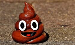 똥냄새 꿈 해몽의 의미