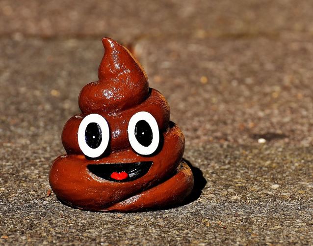 똥냄새 꿈 해몽의 의미