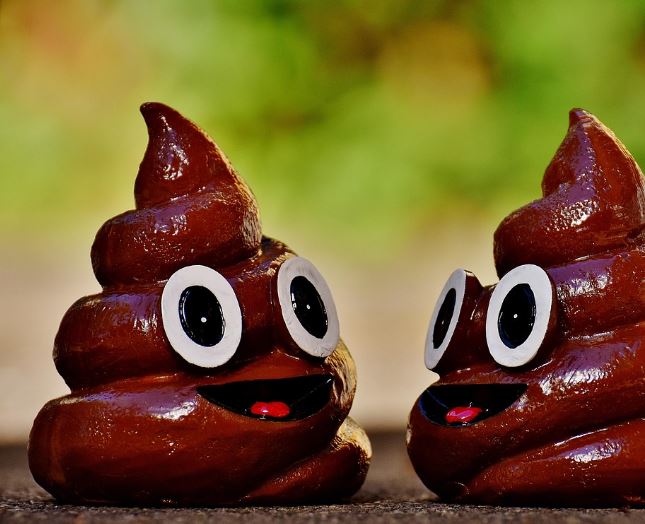 파란똥 꿈 해몽의 의미