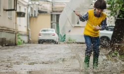 갑자기 비 오는 꿈의 의미(해몽, 운세) 갑자기 비 오는 꿈의 의미