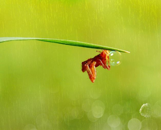 폭우가 내리는 꿈의 의미