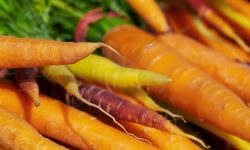 당근 먹는 꿈의 의미