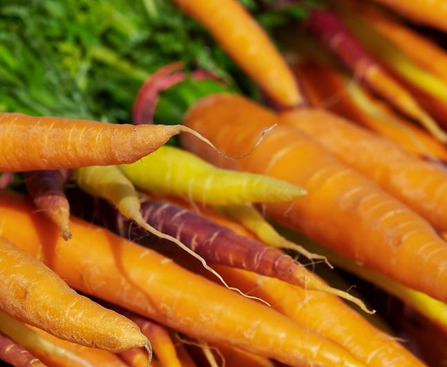 당근 먹는 꿈의 의미