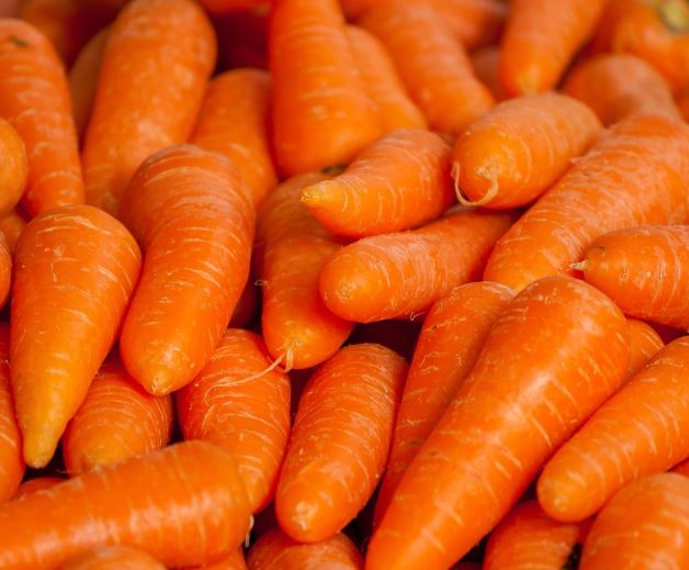 당근 캐는 꿈의 의미