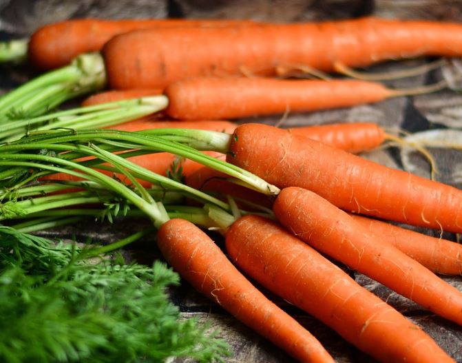 당근 보는 꿈의 의미