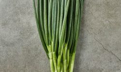 쪽파 꿈의 의미