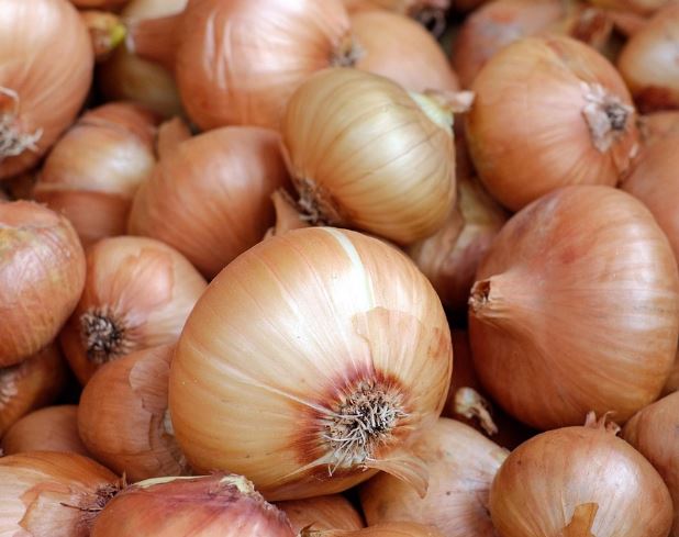 양파 꿈의 의미