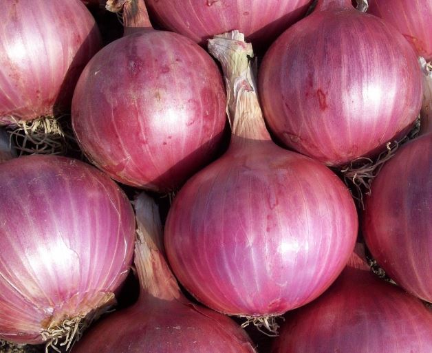 양파 사는 꿈의 의미