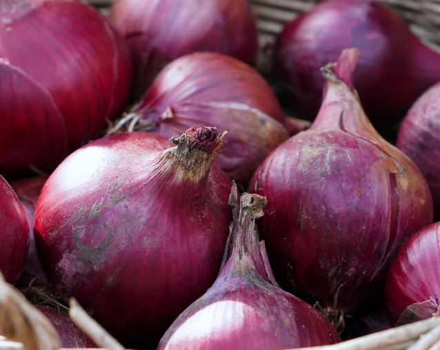 양파 캐는 꿈의 의미