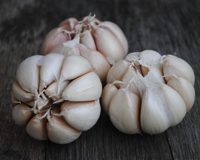 마늘 보는 꿈의 의미