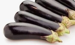 가지 사는 꿈의 의미