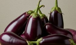 가지 보는 꿈의 의미