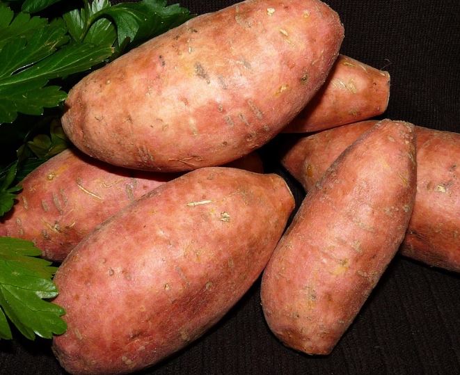 고구마 꿈의 의미