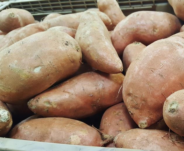 고구마 심는 꿈의 의미