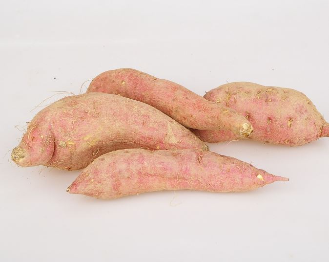 고구마 받는 꿈의 의미