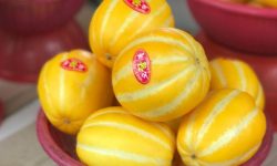 참외 받는 꿈의 의미