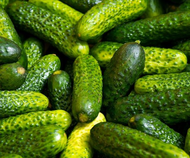 오이 꿈의 의미