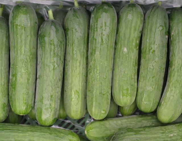 오이 보는 꿈의 의미