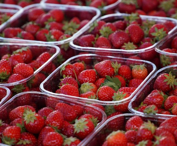 딸기 보는 꿈의 의미