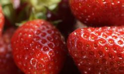 딸기 받는 꿈의 의미