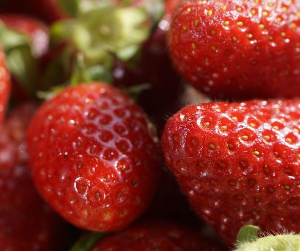 딸기 받는 꿈의 의미