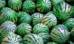 수박 먹는 꿈의 의미