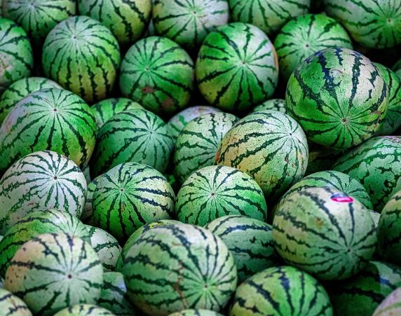 수박 먹는 꿈의 의미