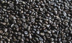 콩 먹는 꿈의 의미