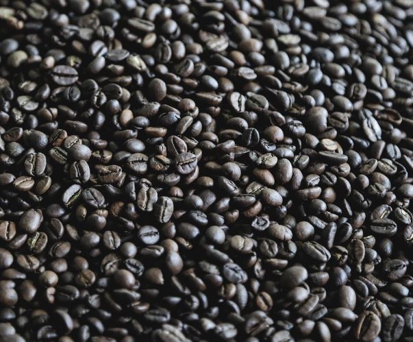 콩 먹는 꿈의 의미