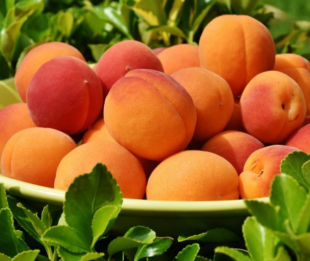 복숭아 보는 꿈의 의미