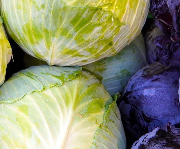 양배추 먹는 꿈의 의미