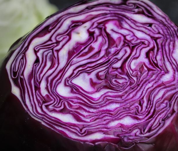 양배추 사는 꿈의 의미