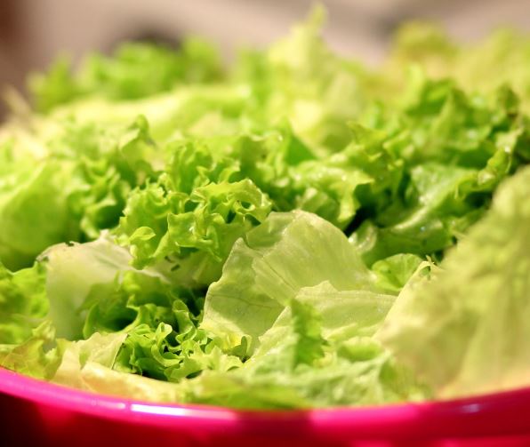 상추 꿈의 의미